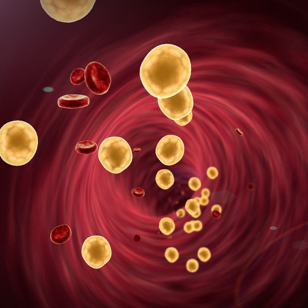 Bieganie a cholesterol